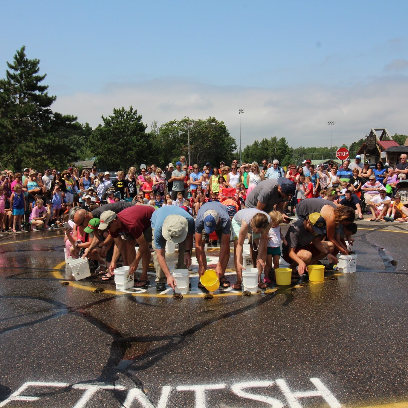 TurtleRaces nisswa turtle race crowd and racers